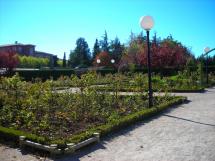 Seis empresas optan a la adjudicación del contrato de Parques y Jardines de la Ciudad de Soria 